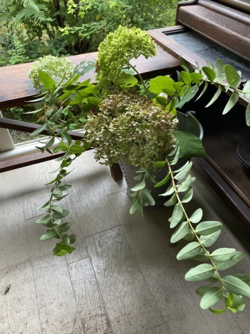 アナベルとビョウヤナギ