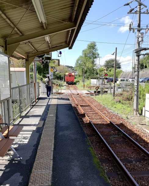 IMG_20180922_115546_320