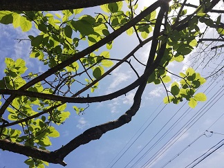 IMG_20190417_155759_830