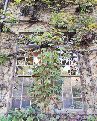 IMG_20191019_101104_080