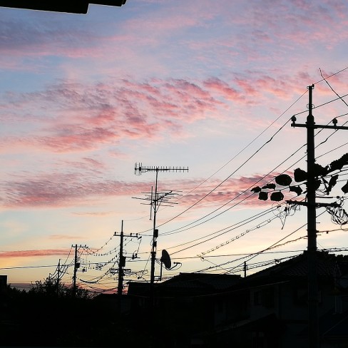 IMG_20191107_064648_952