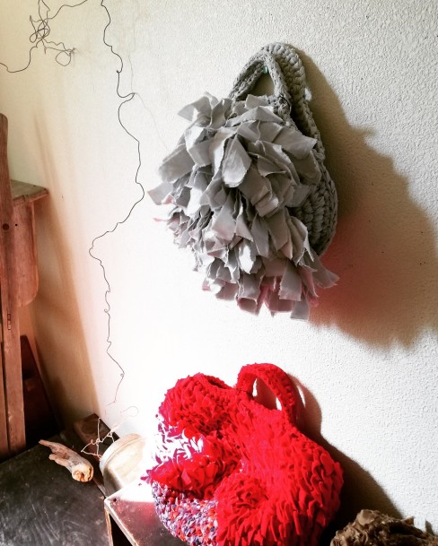 IMG_20191107_070050_708