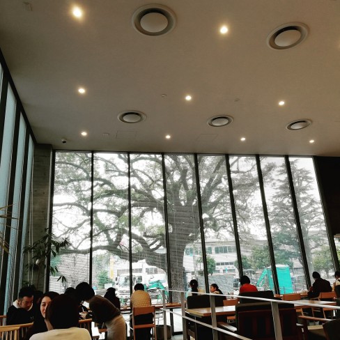 IMG_20200210_084647_608