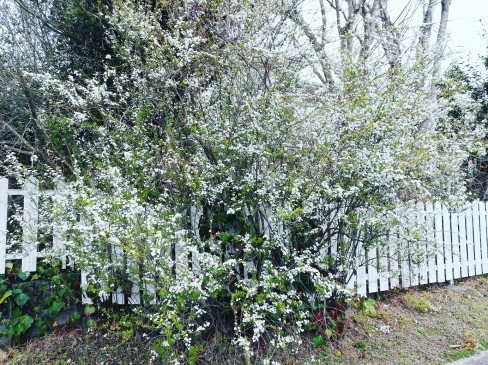 IMG_20200314_125515_506