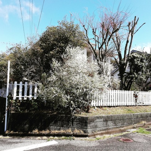 IMG_20200316_115435_586