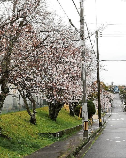 IMG_20200401_124831_569